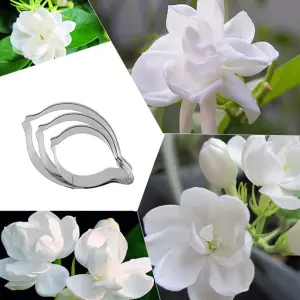 3 Size of Jasmine Petal Cutter Set Flower Cutters Cake Decorating Gumpaste Flower