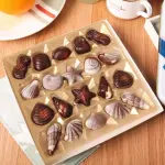 Seashell Shape Shaped Chocolate Mold Polycarbonate Candy Mould