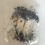 Non-Edible High End Artificial Pollen Stem ( Black )