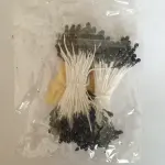 Non-Edible High End Artificial Pollen Stem ( Black Style 2 )