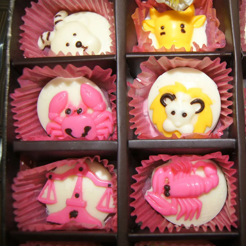 12 Zodiac Polycarbonate Chocolate Mold Candy Cake Decoration Mould