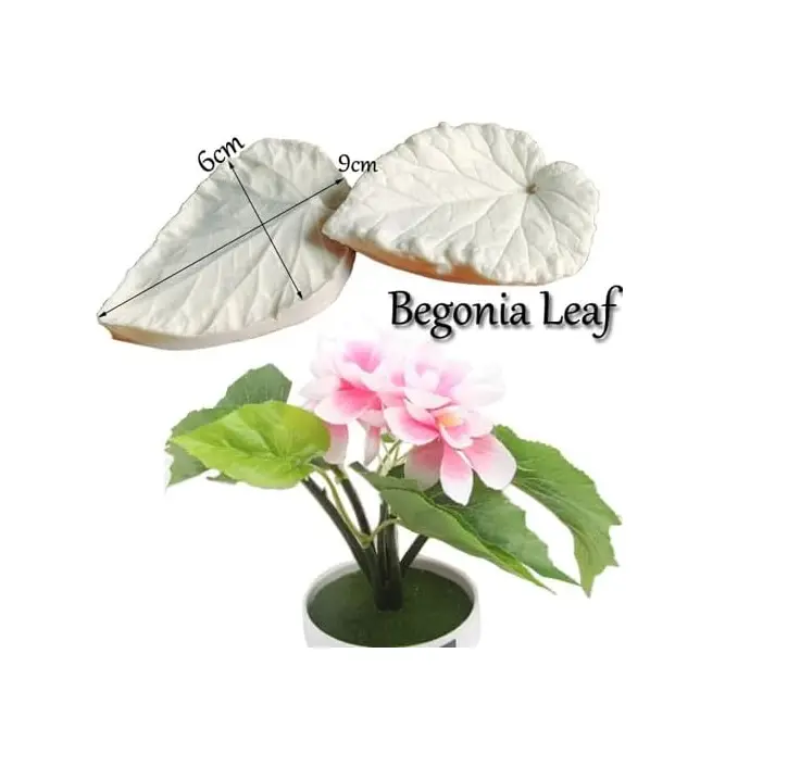 Begonia leaf Veiner