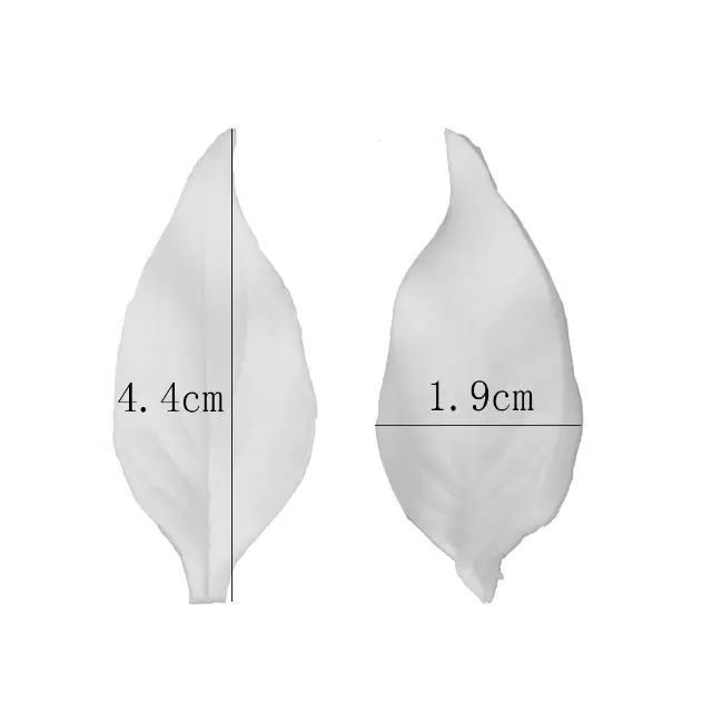 Hibiscus leaf veiner