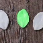 Orchid Flower petal veiner