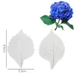 Hydrangea Flower Leaf veiner