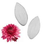 Clematis Petal Flower Veiner