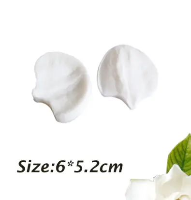 Phalaenopsis Orchid flower Petal veiner