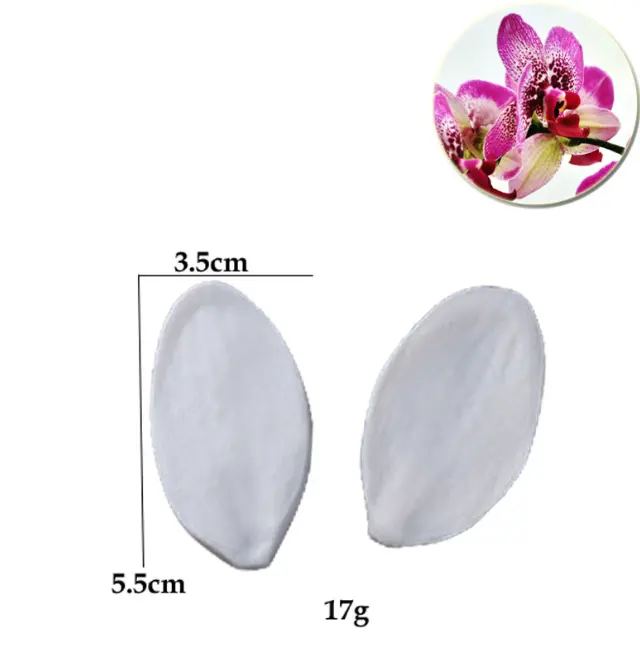 Orchid Flower petal veiner
