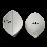 Large Peony Rose Tulip Orchid Flower Petal Veiner