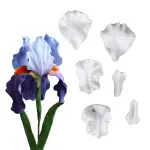 9 pcs Iris Flower petal veiner and cutter set