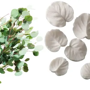 6 pcs Eucalyptus Leaves veiner set
