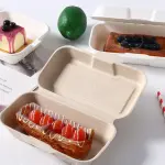 10 Pcs Long White bento Box