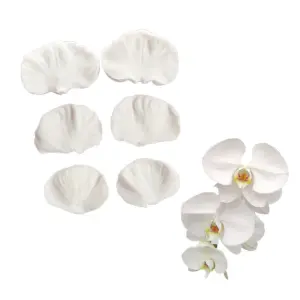 6 pcs Orchid Flower petal veiner