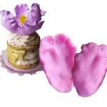Carrot Tulip flower Petal veiner mould (Copy)