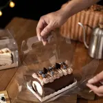1 Pcs Transparent cake Box with Tray (16 x 9 X 8 cm )