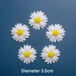 5 pcs Non Edible Resin flower cake topper set