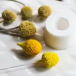 Golden Drumstick Petal Texture Mould