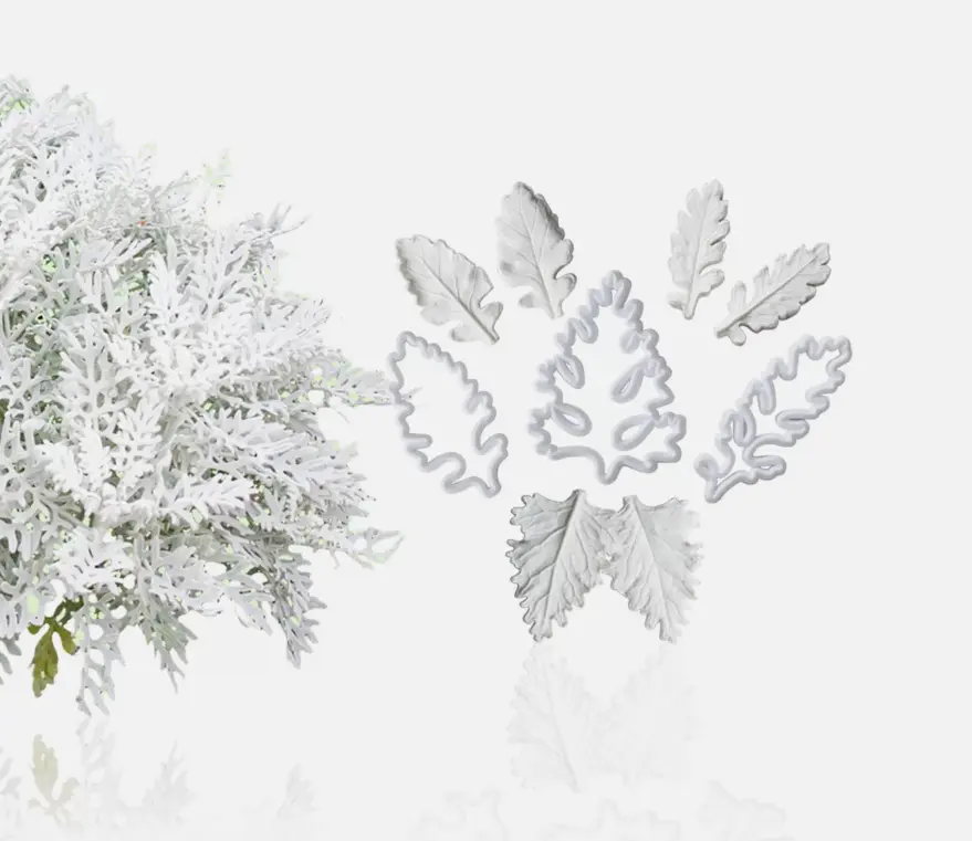 9 pcs Senecio Cineraria Dusty Miller foliage Leaf cutter and Mould set