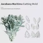 9 pcs Senecio Cineraria Dusty Miller foliage Leaf cutter and Mould set