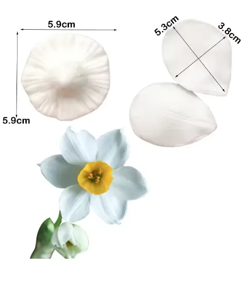 Daffodil Flower Petal Veiner Silicone Mould