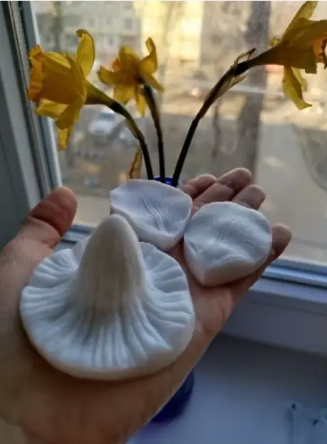 Daffodil Flower Petal Veiner Silicone Mould