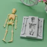 Skull Skeleton Fondant Silicone Mould for Halloween Cake Decoration & Chocolate Making