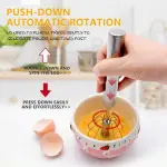 Small Stainless Steel Hand Push Whisk Mixer