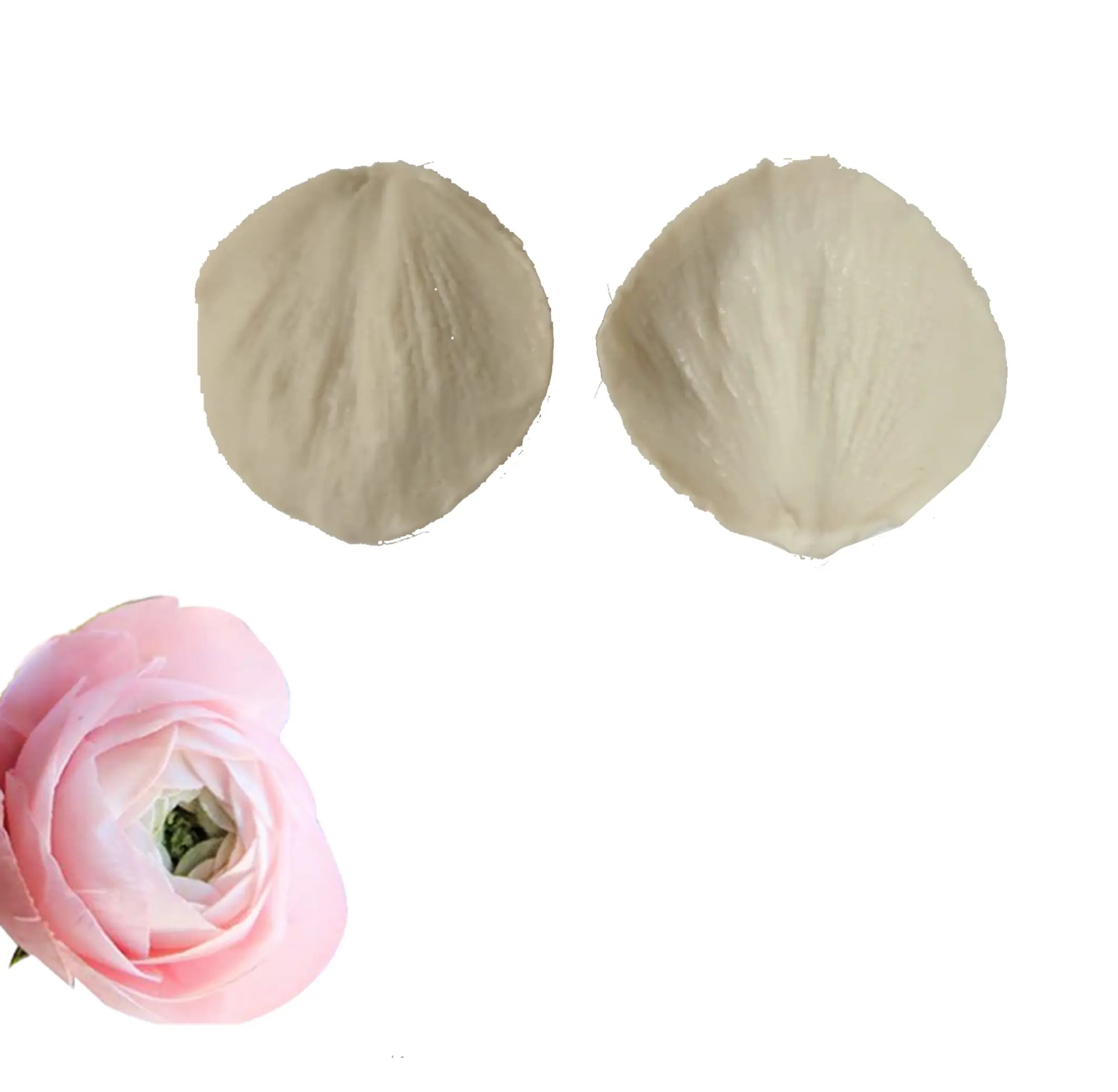 Rose Flower Flower Petal Veiner style 4