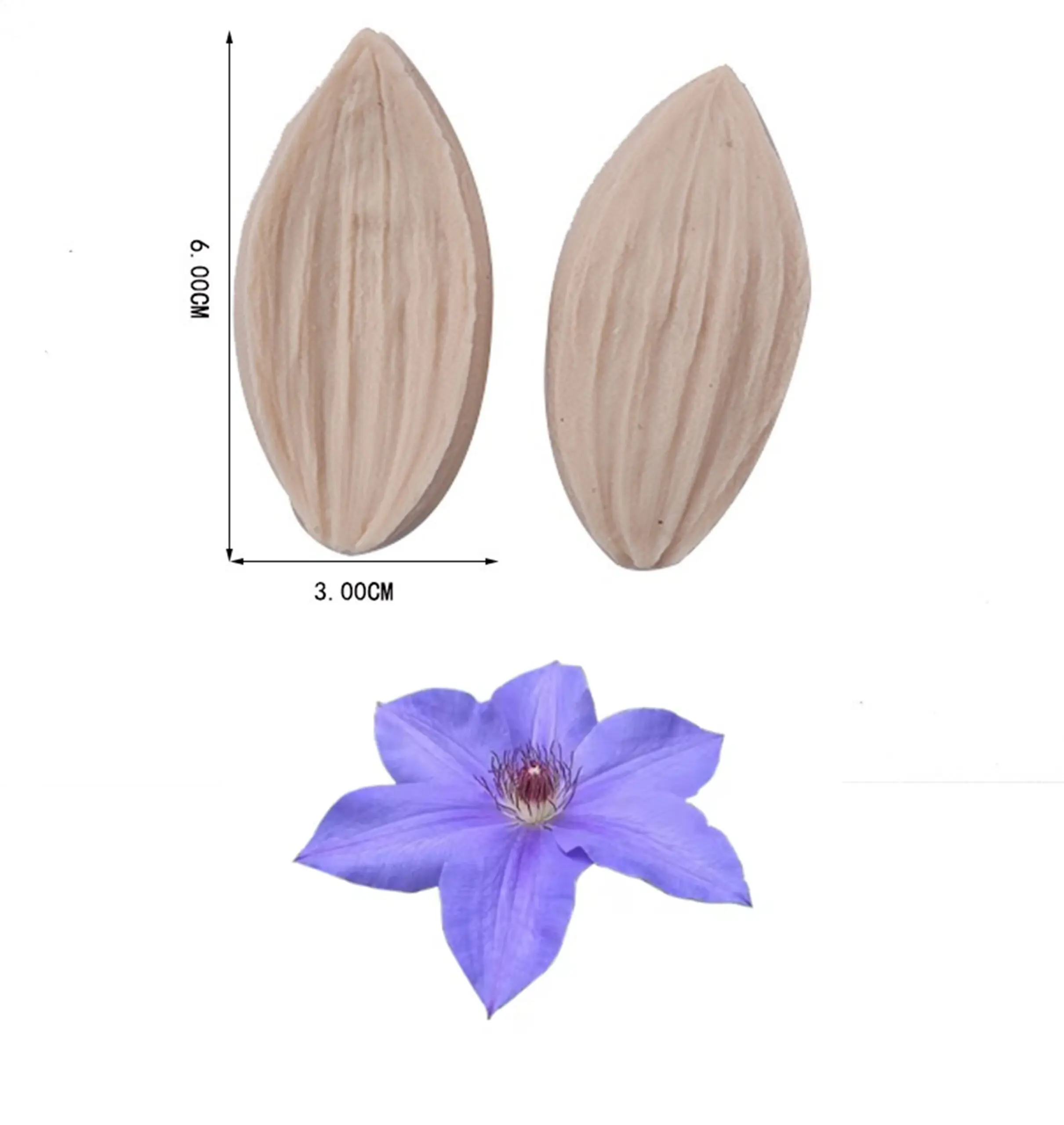 Clematis Petal Flower Veiner