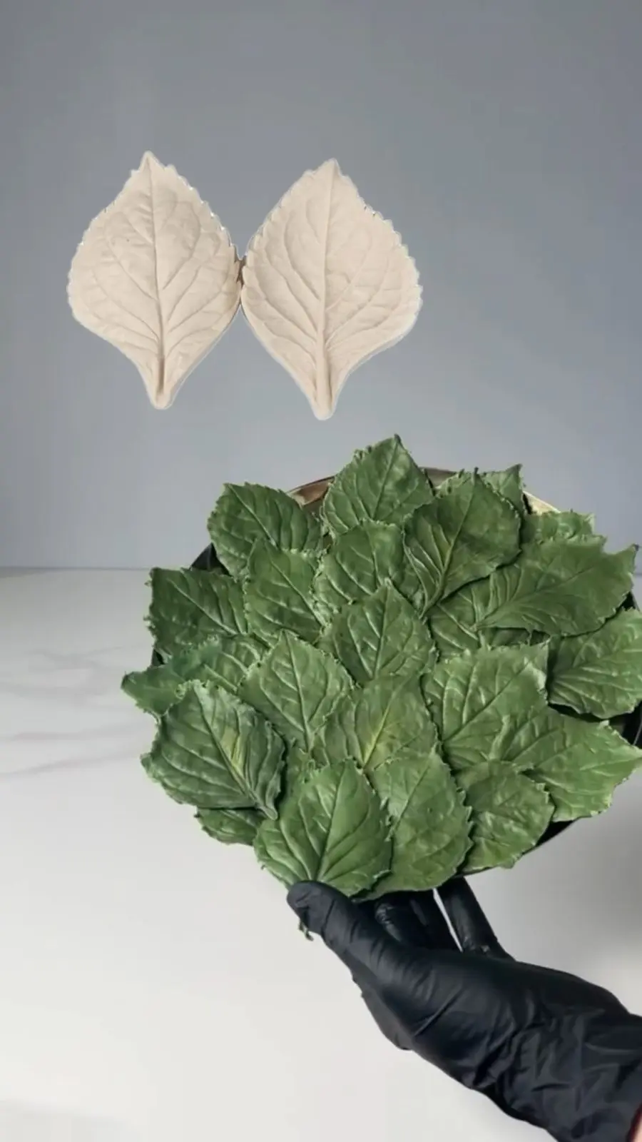 Large Leaf Veiner mould