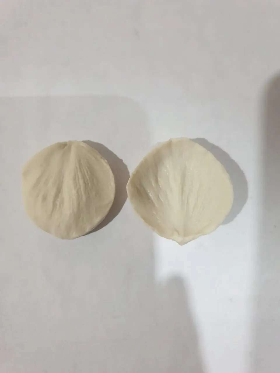 Rose Flower Flower Petal Veiner style 4