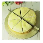 10 Inch Stainless Steel Cake Knife Bread Knife with teeth