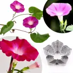 6 pcs Petunia Petal flower Cutter Set