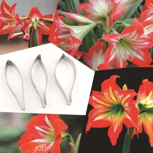3 Pcs Amaryllis Petal Cutter Set for Fondant & Gumpaste Flower Making
