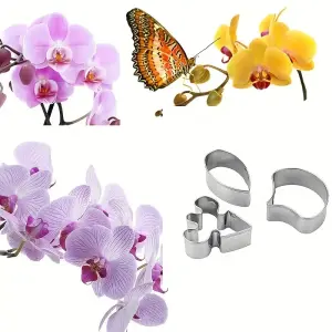 3 Pcs Butterfly Orchid Flower Cutter Set for Fondant & Gumpaste Flower Making
