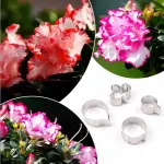 3 Pcs Belgium Azalea Petal Cutter Set for Fondant & Gumpaste Flower Making