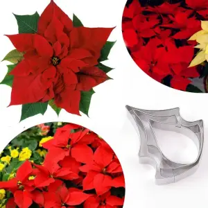 3 Pcs Poinsettia Flower Petal Cutter Set for Fondant & Gumpaste