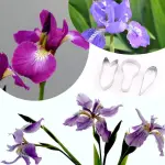 3 Pcs Iris Flower Petal Cutter Set for Fondant & Gumpaste
