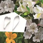 2 Pcs Alstroemeria Flower Petal Cutter Set for Fondant & Gumpaste