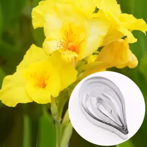 5 Pcs Canna Flower Petal Cutter Set for Fondant & Gumpaste