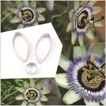 3 Pcs Passion Flower Petal Cutter Set for Fondant & Gumpaste