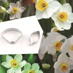 2 Pcs Daffodil Nargis Petal Cutter Set for Fondant & Gumpaste