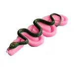 Snake Silicone Mould for Fondant, Chocolate, Candle & Soap Making